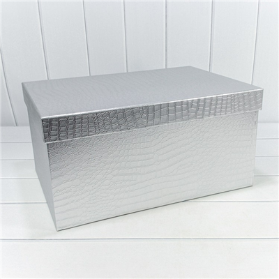 Коробки набор ЛЮКС 10шт Крокодил серебро