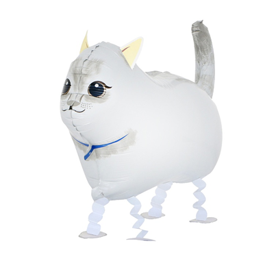 К ХОД Кот белый