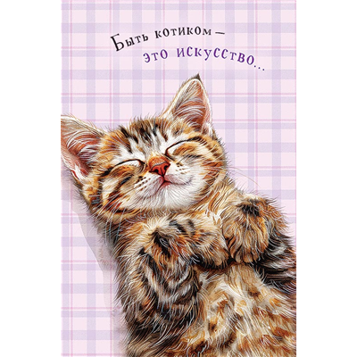 Открытка Быть котиком