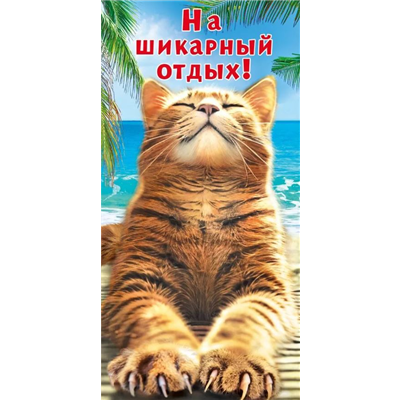Конверт д/денег На шикарный отдых кот