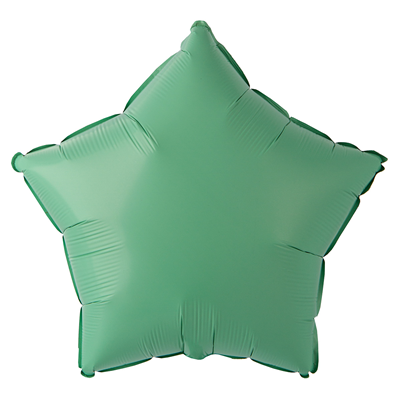 Г Б/РИС ЗВЕЗДА 18" Пастель Matte Green