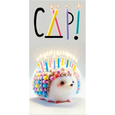 Конверт д/денег С ДР Ежик свечи