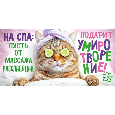 Конверт д/денег На СПА кот