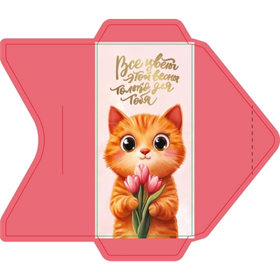 Конверт д/денег Рыжий кот с букетом