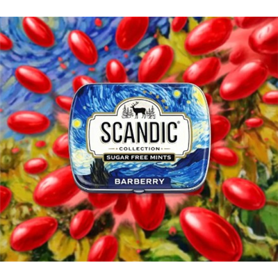 Конфеты SCANDIC барбарис 14г