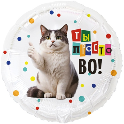 К 18" РУС ТЫ ПРОСТО ВО Кот забавный