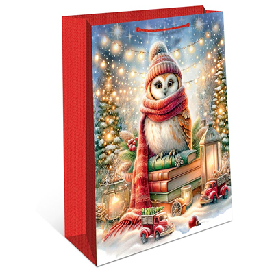 Пакет НГ Сова 33х42х10см