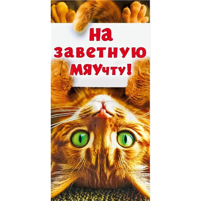 Конверт д/денег На заветную МЯУчту