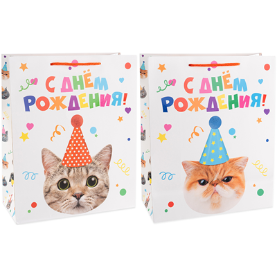 Пакет бум СДР Котики фотогр 23х18х10см/Д