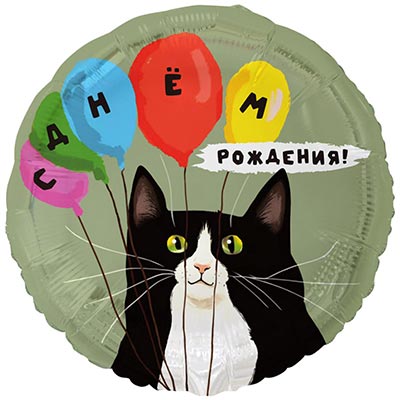 К 18" РУС ДР Кот и воздушные  шары