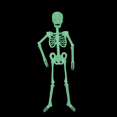 Скелет светящ в темноте 90см/G