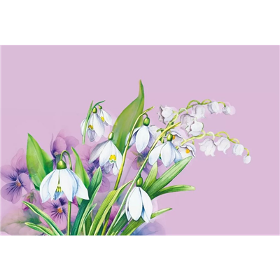 Конверт д/денег А5 Подснежники