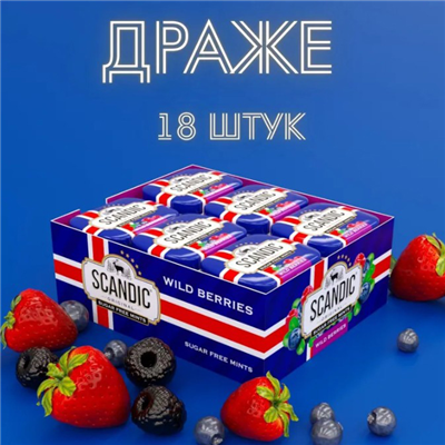 Конфеты SCANDIC лесные ягоды 14г