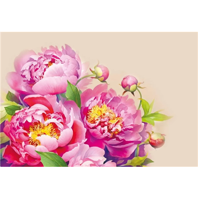 Конверт д/денег А5 Пионы