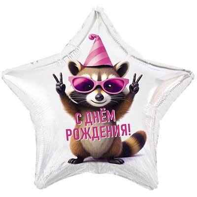 К 18" РУС ДР Енот в колпаке