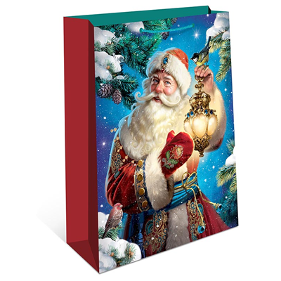 Пакет НГ Дед мороз фонарь 11х14х6см