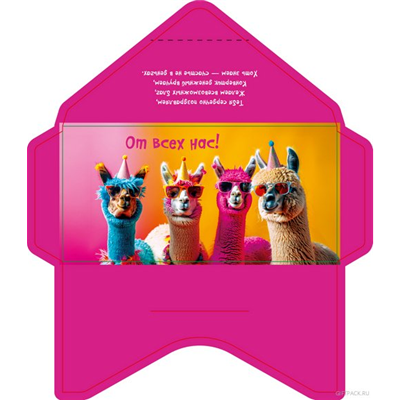 Конверт д/денег Четыре Альпаки в очках