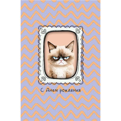 Открытка с окном СДР Кот