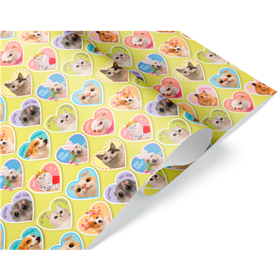 Бумага упак Мемы 0,7*1м 10шт/Д