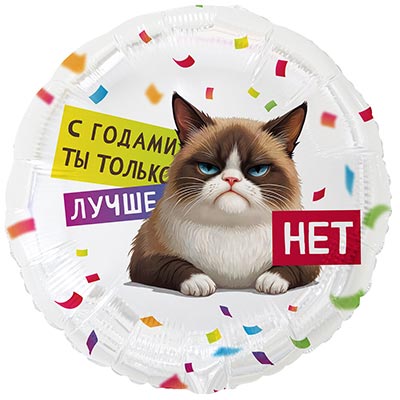 К 18" РУС С ГОДАМИ ТЫ ЛУЧШЕ Кот Сердитый