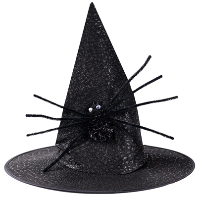Шляпа ведьмы Паук черная 38см/G