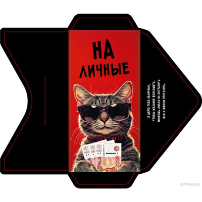 Конверт д/денег Кот в очках На Личные