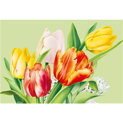 Конверт д/денег А5 Тюльпаны