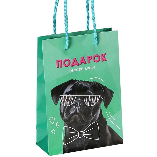 Пакет бум Праздничный песик 14х20см
