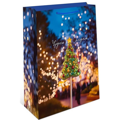 Пакет НГ Уютные мгновения 18х22х10см