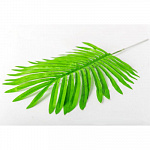 Лист зелени Пальма светло-зеленый 45см