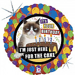 Б 18" JUST FOR CAKE Сердитая Кошка