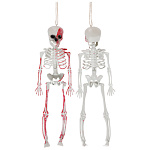 Скелет кровавый подвесной/G