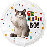 К 18" РУС ТЫ ПРОСТО ВО Кот забавный