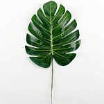 Лист зелени Монстера зеленый 35см