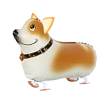 К ХОД Собака Корги